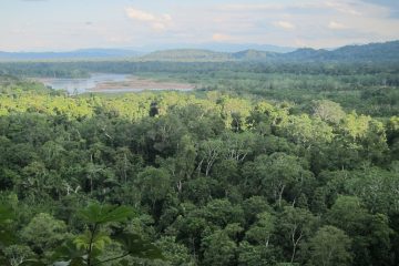 Madidi-Nationalpark